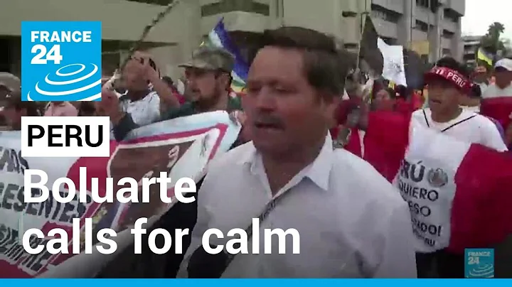 As more unrest looms, Peru leader calls for calm • FRANCE 24 English