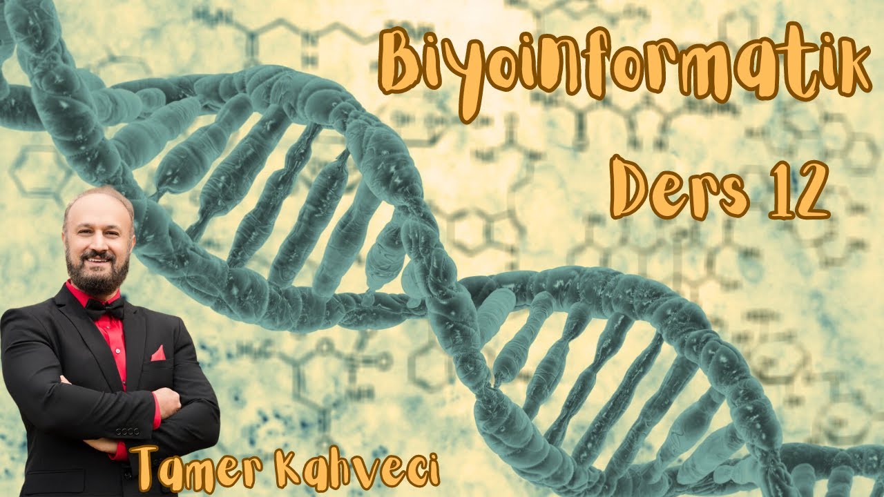 Biyoinformatik - Ders 12: Lineer alanda global hizalama