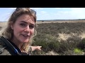 De grootste en natste heide van Europa | Vlog boswachter Hanne | #83