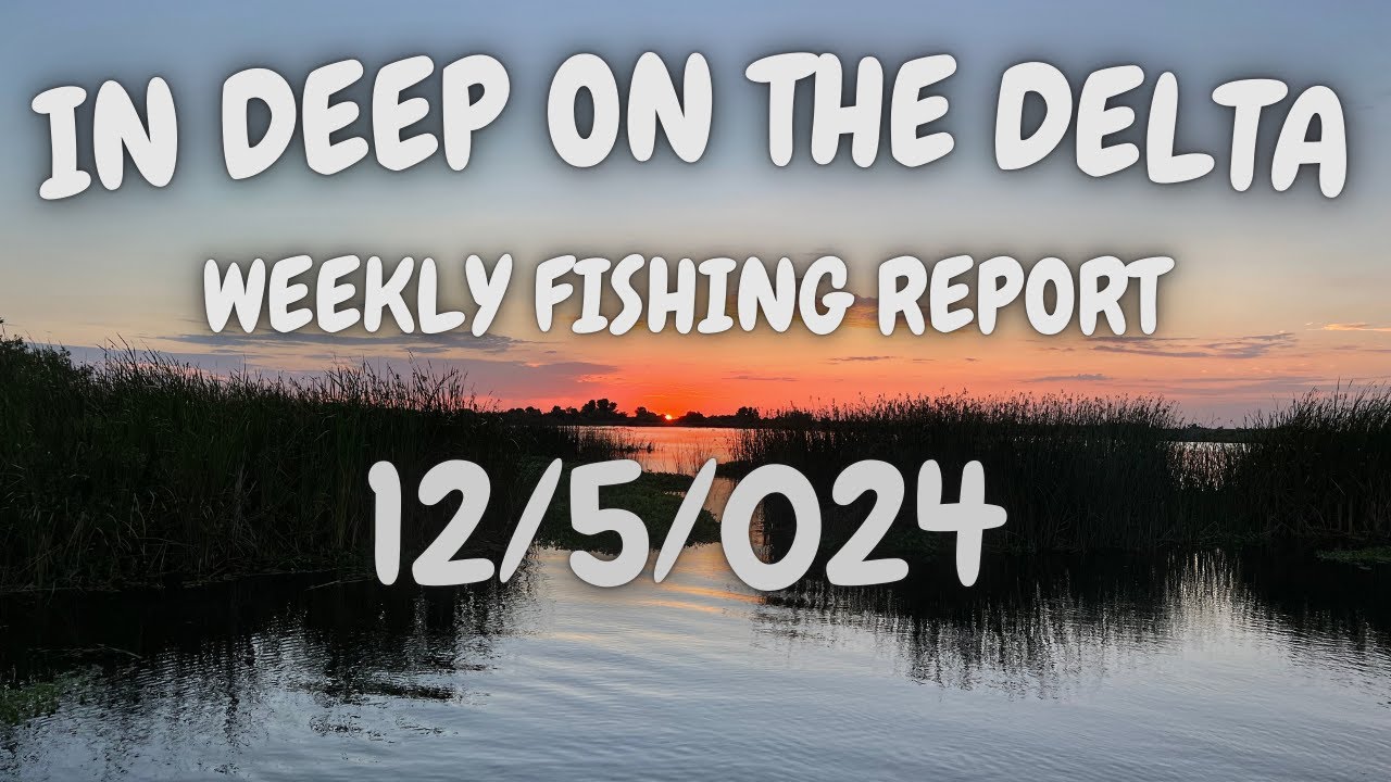 The In Deep On The Delta Weekly Fishing Report For 12/5/2024.