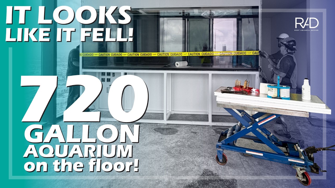 IT FELL! THE 720 GALLON AQUARIUM ON THE DOWNTOWN MIAMI E11EVEN BUILDING 63rd FLOOR HAS FALLEN!