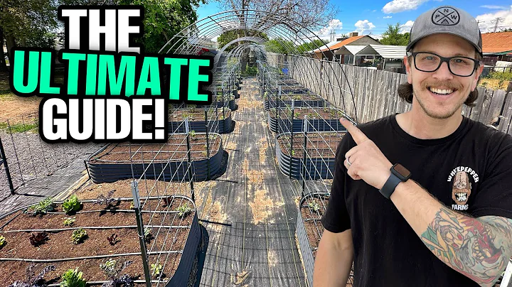 DIY Arched Trellis That Will Last A LIFETIME! | 7 Steps For Success!