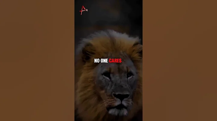 Sigma rule 😎🔥~ Attitude status 😈 | WhatsApp status | Attitude quotes #shorts #quotes #attitude