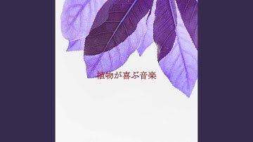 Chilled Backdrops for Infinite Winters