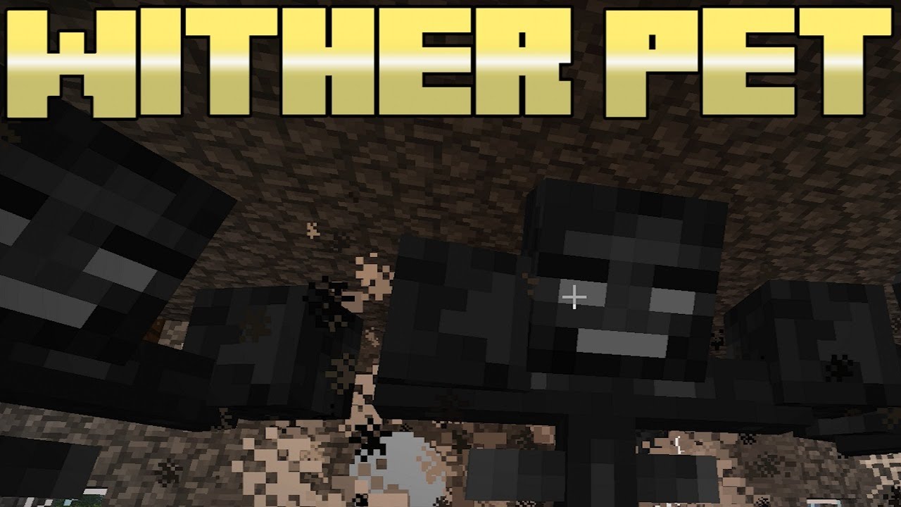 Minecraft: Wither Pet - Taming A Wither in Survival 