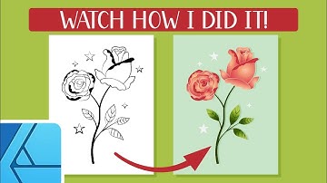 3-step process of creating a beautiful rose illustration in Affinity Designer