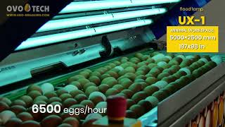 UX egg flood lamps by OVO-TECH