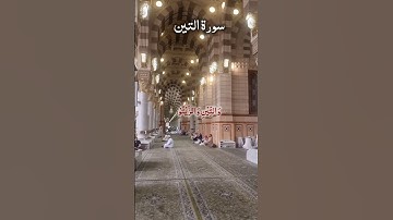 SURAH AT-TIN سورة التین Masjid Nabawi Beautiful View #egzonibrahimi #surahtin