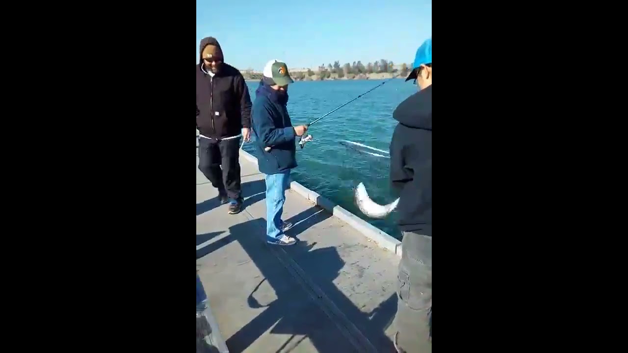 Fishing with my dad at Shadow Cliffs, Pleasanton, CA. - YouTube
