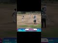 cricket boiling short video viral #viralshorts #viralshort #viralreels #viralsong #shorts