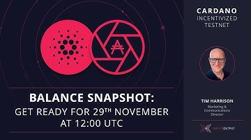 Balance snapshot for Shelley Incentivized Testnet scheduled for 29th November at 12:00 UTC