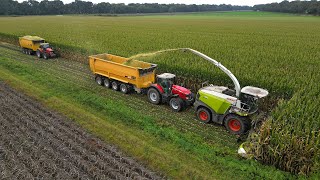 Mais 2023 / Claas Jaguar 990 + 8x Massey Ferguson / Van Bakel - Vreba dairy / Kuilwerk