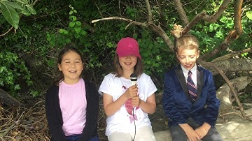 Plastic Pollution by Silke, Tristan, & Kayleigh from St. Michaels University School