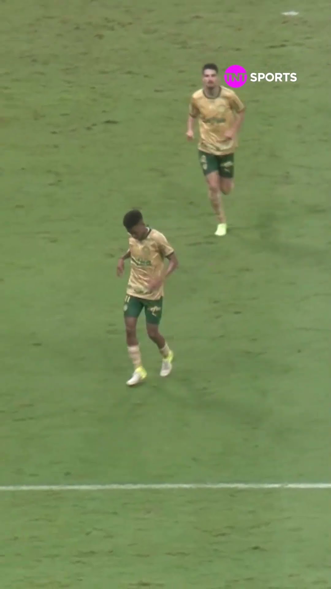 ESTÊVÃO FAZ GOLAÇO DE FALTA E PALMEIRAS AINDA PODE SER CAMPEÃO BRASILEIRO!