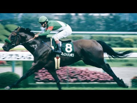 ※絶版　競馬DVD　岡部幸雄（馬と歩んだ日々）騎手 Amazon | タイキシャトル ヒーロー列伝ポストカード 2000年復刻