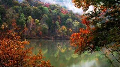 تلاوة رائعة للقارئ هاني شمسان  المقطري ما تيسر من سورة الفرقان .