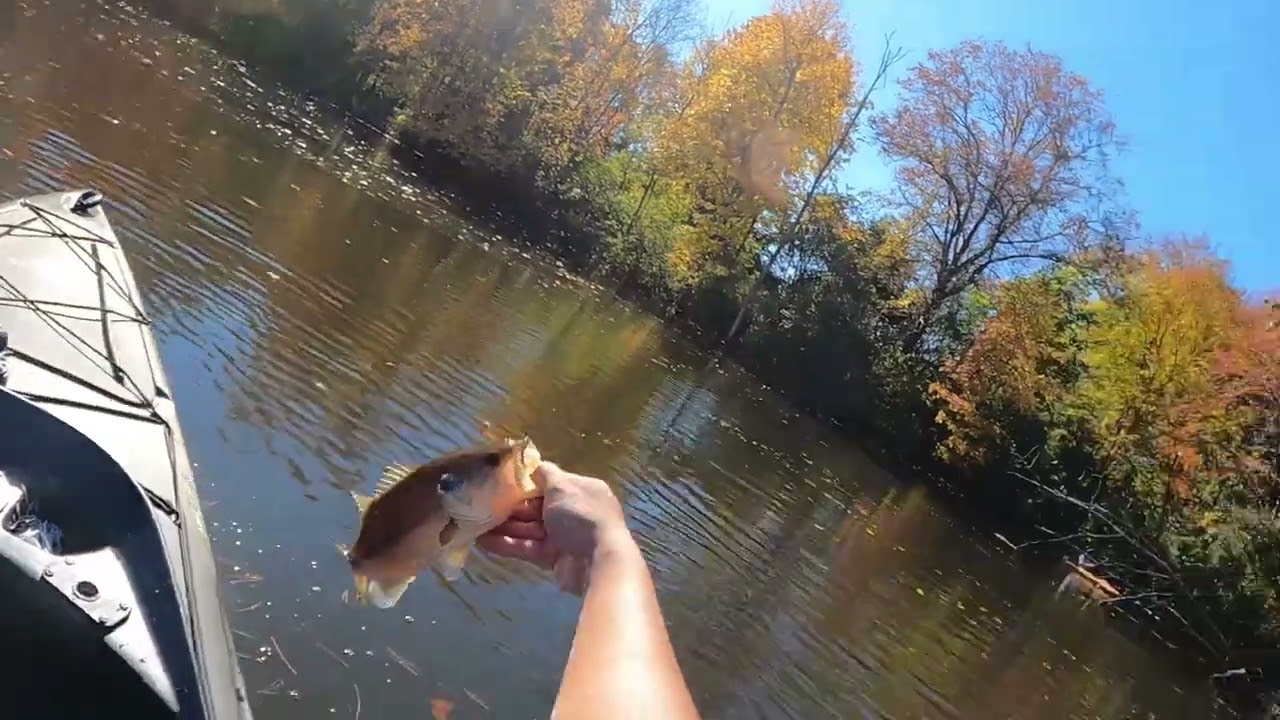 Fall bass fishing Taunton ma , 2024