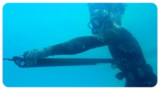 видео: Роб Аллен | Установка TimberLine | 2025 картинка: Роб Аллен | Установка TimberLine | 2025