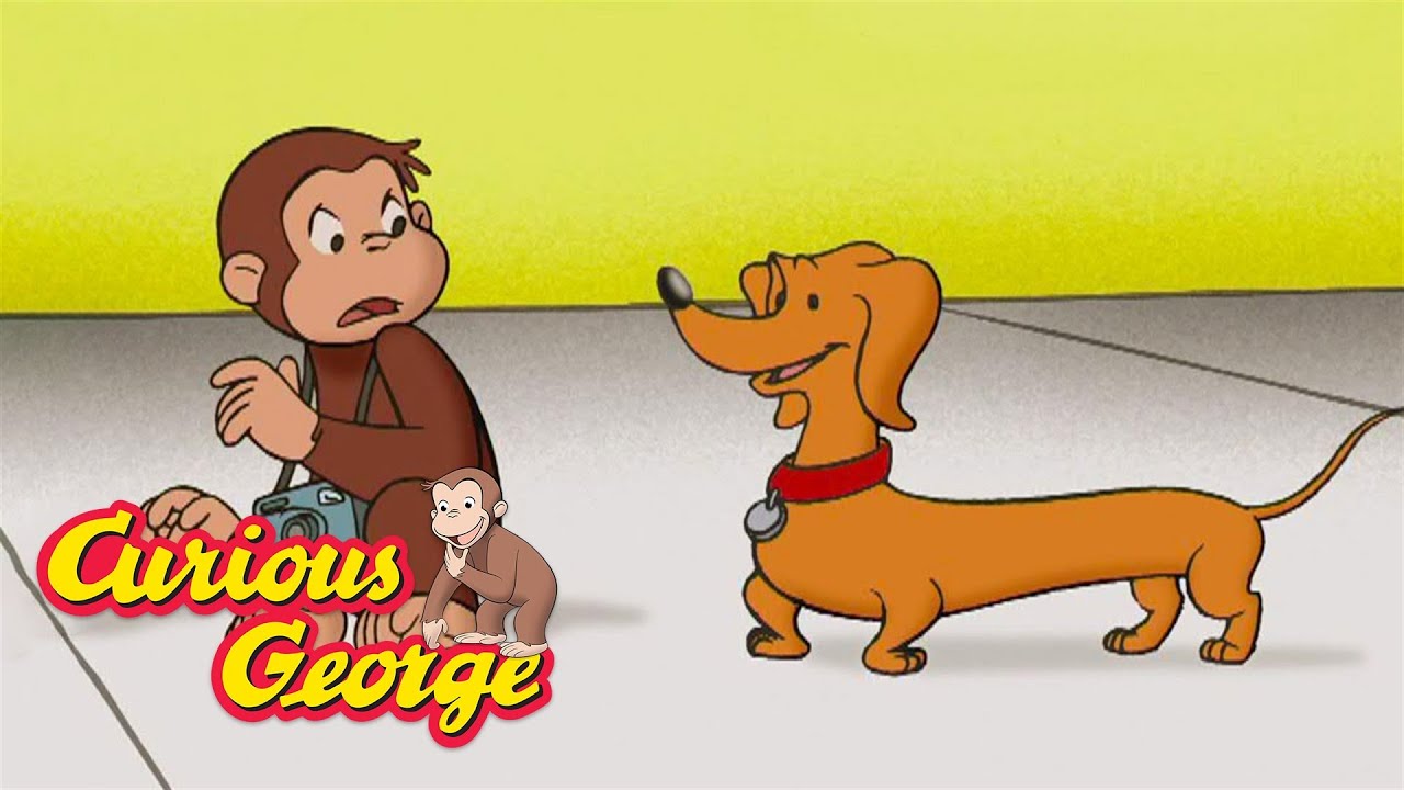 Who Is That Dog? 🐵 Full Episodes | Curious George - YouTube