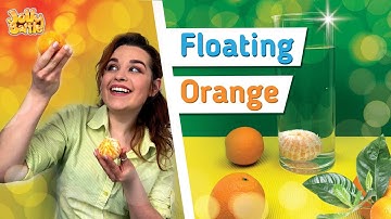 Sink or Float? | Cool Science Experiment for Kids | Exploring the Density of Orange