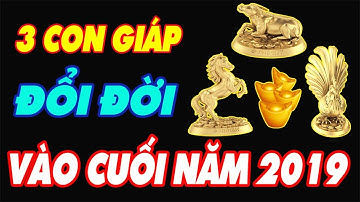 Chúc Mừng 3 Con Giáp Sắp Trúng Số Độc Đắc, Giàu Không Lối Thoát Trong Cuối Năm 2019