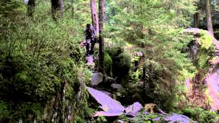 Download Lagu Kasar - Walk ON // Trailer // Forest MP3 Download Lagu Kasar - Walk ON // Trailer // Forest MP3