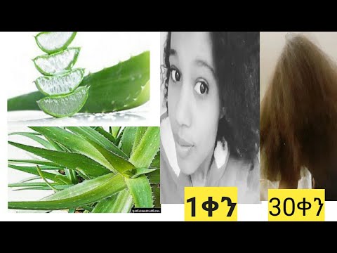 ቪዲዮ: እሬት እንዴት ማጠጣት? በክረምት ውስጥ ምን ያህል ጊዜ ውሃ ማጠጣት አለብዎት? አበባን በቤት ውስጥ በትክክል እንዴት ማጠጣት?