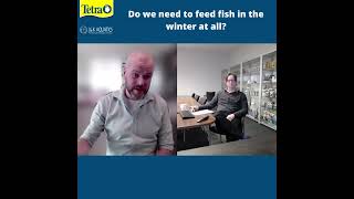 Do we need to feed fish in the winter at all?