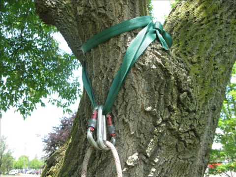 Tree Climbing: Getting the Rope in the Tree - Rope Attachment 