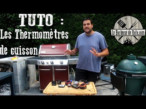 Vidéo: Thermomètre Barbecue (18 Photos) : Choix D'un Capteur De Température Pour Le Grill