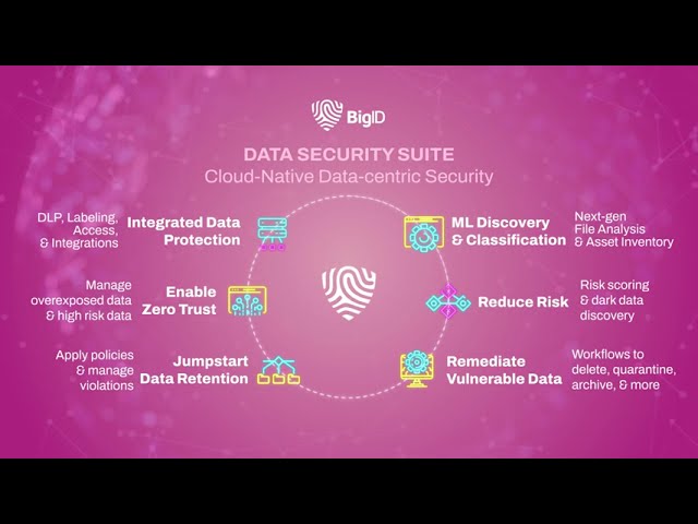 BigID Security Suite