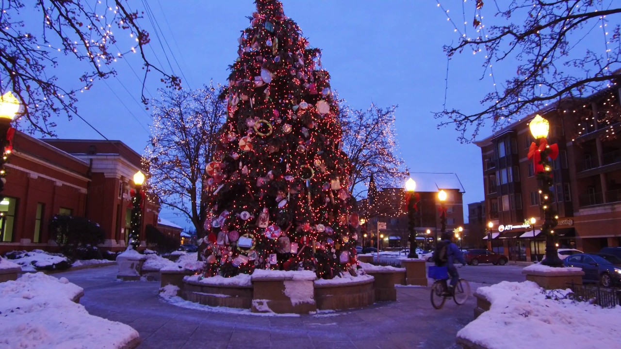 Downers Grove Christmas Downtown Downers Grove Christmas Tree YouTube