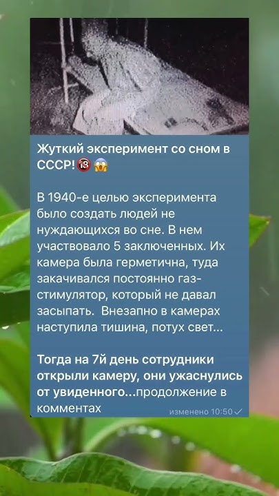 Эксперимент со сном - YouTube