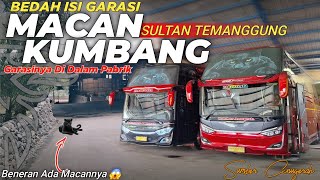 BIS DAN GARASI UNIK PO.SUMBER ANUGERAH❗️Mengitari Garasi Unit Pariwisata Sultan Temanggung !