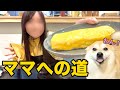 素敵なママになるためにだし巻き卵を完璧にするよってに❗️
