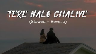 Tere Nalo Chaliye Haseen Koi Na [Slowed Reverb] Hindi Song