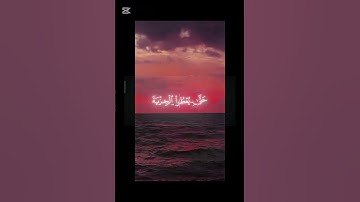قاتلوا الذينا لا يؤمنون بالله||القارئ أبو بكر الشاطر #المصحف #اكسبلور #لايك