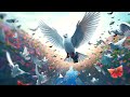 Holy Spirit Healing You While You Sleep With Delta Waves, Music To Heal Body, Soul and Spirit, 432Hz