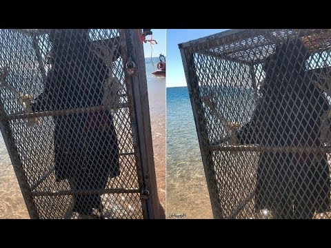 جثة قرصان في قفص حديدي قرب شواطئ السعودية ما القصة