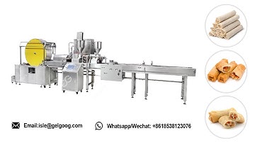 Industrial Spring Roll Machine|Spring Roll Production Process.  WhatsApp: +8618538123076