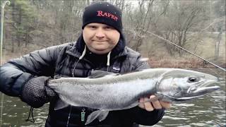 Steelhead Float Fishing with Shrimp in the Great Lakes using Scents. 