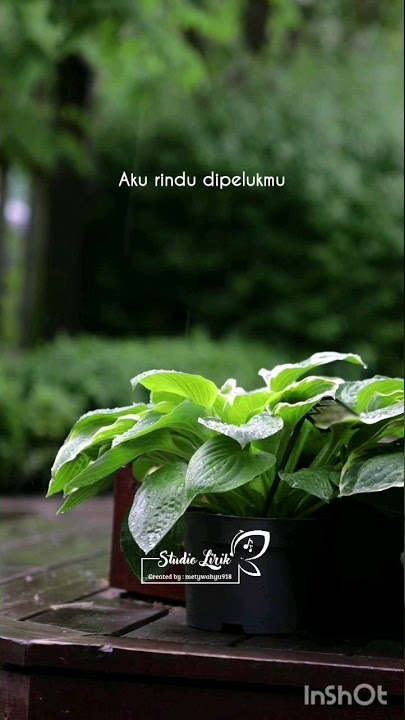 KELIRU ~ RUTH SAHANAYA || #studiolirik918 #keliru #ruthsahanaya #laguviraltiktok #storywaaesthetic