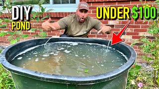 DIY Garden Pond for Under $100! (Stock Tank Pond)