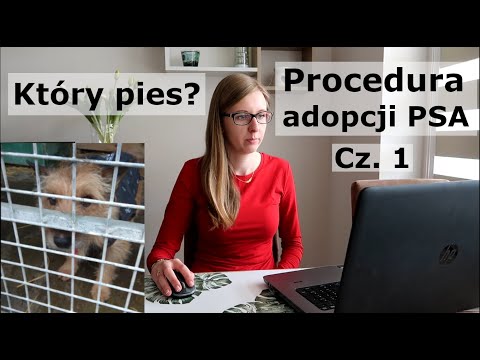 Wideo: Opłaty Adopcyjne Psa - Koszty Adopcji Psa - Ile Kosztuje Adopcja Psa?