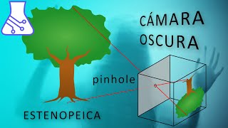 Cámara Oscura. Experimentos y Explicación.