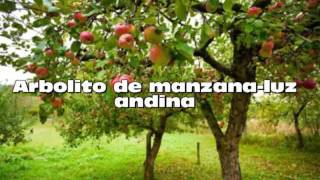 Video thumbnail of "arbolito de manzana - luz andina"