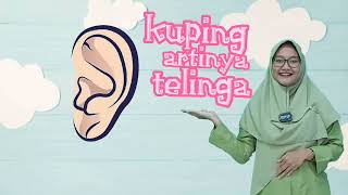 Perangane Awak (Anggota Tubuh) - Bahasa Jawa - Kelas 1 - Video Pembelajaran Edukatif