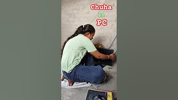 Pc me nikla chuha #shorts #minivlog #vlog #shortvideo #viral #viralvideo