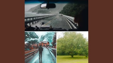 High-class Backdrops for Winter Rain