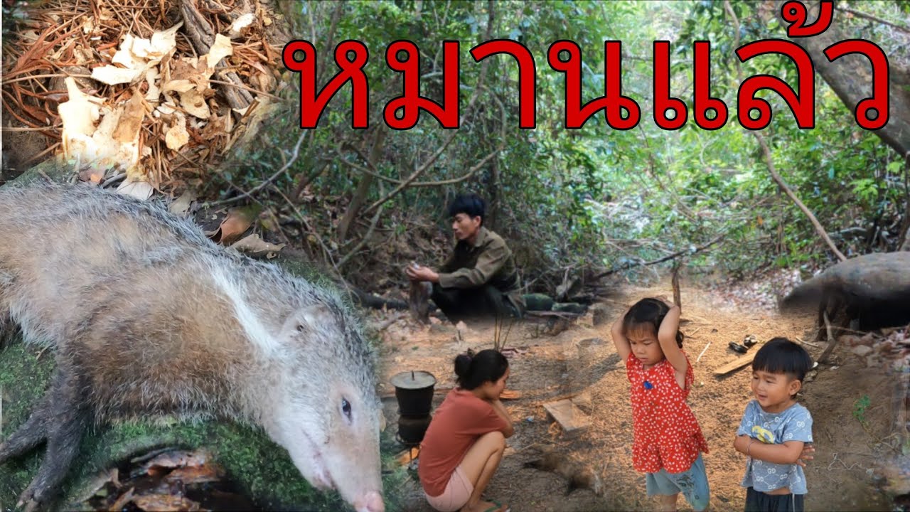หมานสัตว์ป่าตวใหญ่ - YouTube